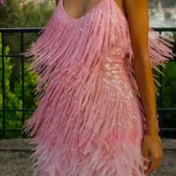 NWT Pretty Pink Sexy Fringe Feather Mini Dress With Beaded Tassles / Fringe Med - Picture 2 of 3